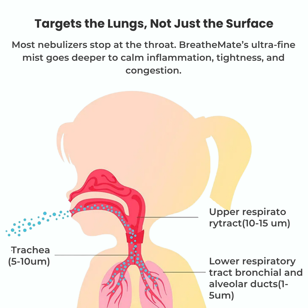 Breathe Easy Nebulizer